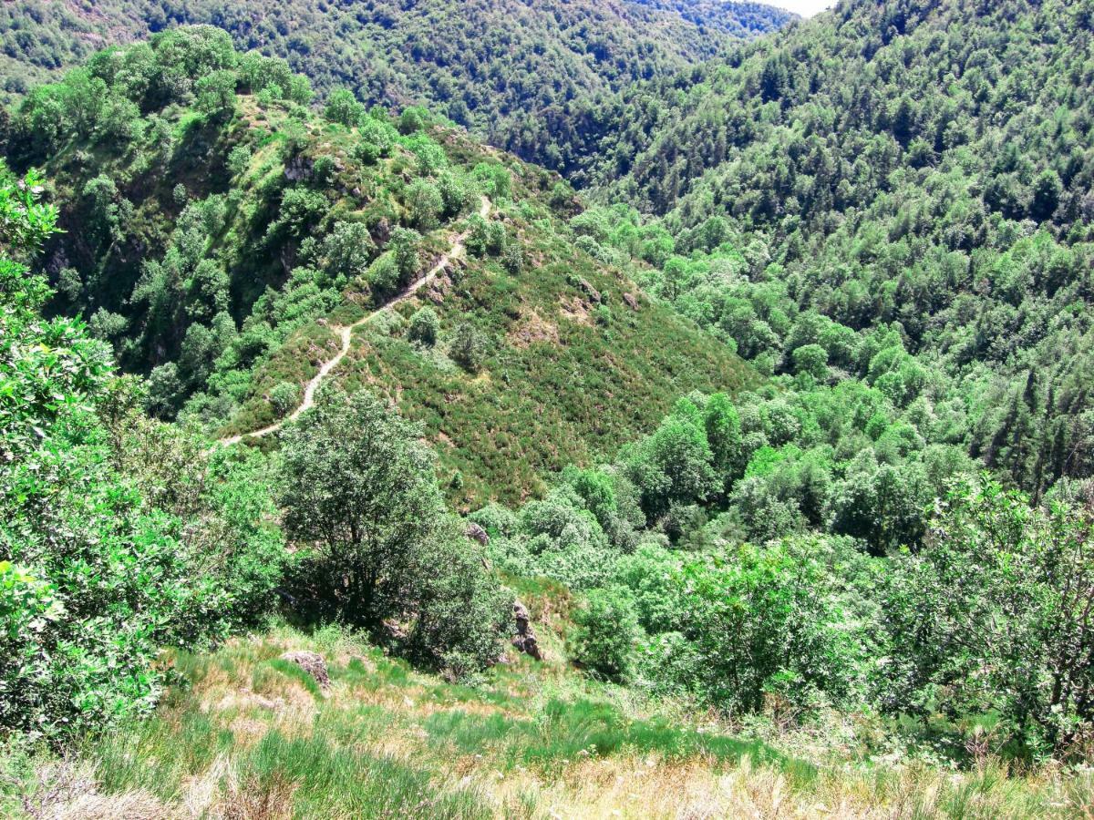 Villa Le Bos Clard Félines Esterno foto