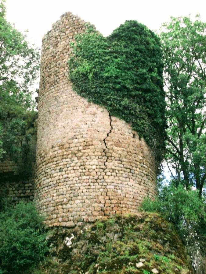 Villa Le Bos Clard Félines Esterno foto