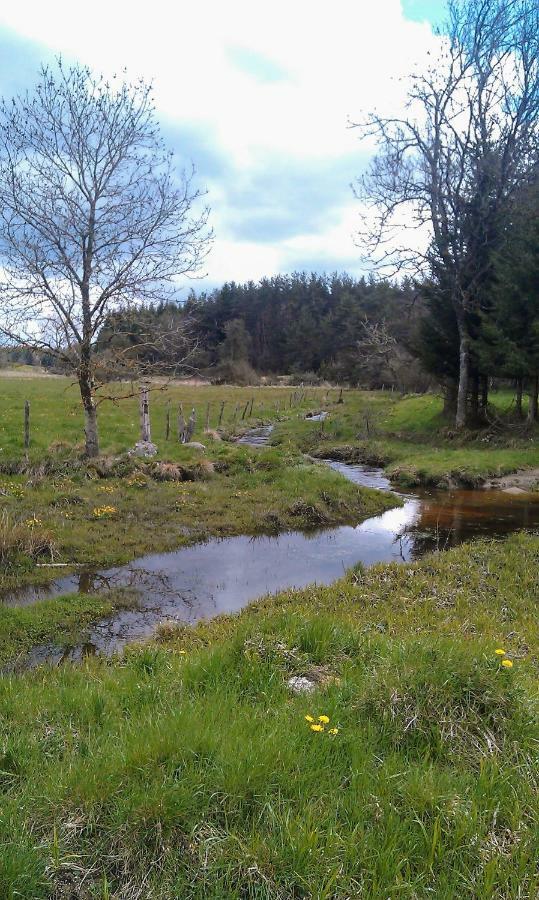 Villa Le Bos Clard Félines Esterno foto